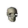 the skeleton appears